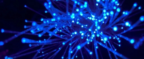 日本新技術創數據傳輸速度新紀錄 每秒319Tb，重塑電子產品未來